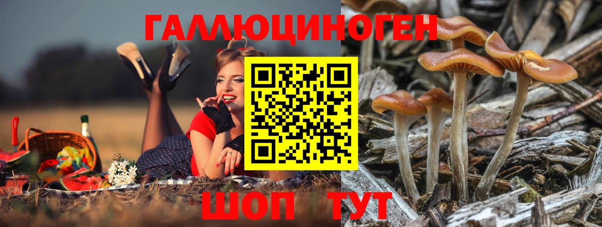 Псилоцибиновые грибы MAGIC MUSHROOMS  Вход с VPN  Галлюциногенные грибы прущие грибы  Нурлат 